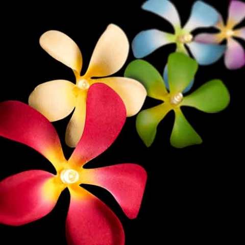 Mixed Tropical Coloured Frangipani Flower - fairy lights - 35 LED bulbs per string